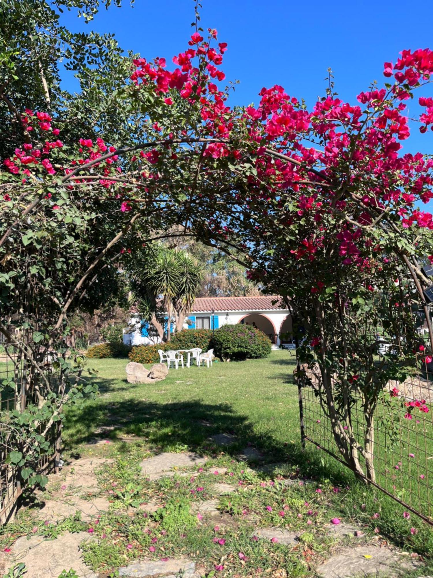 Bed and Breakfast Bidd'E Majori San Priamo Exterior foto